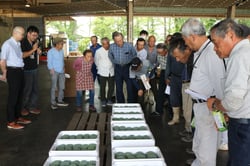規格を確認する生産者（６月１日、小諸市で）