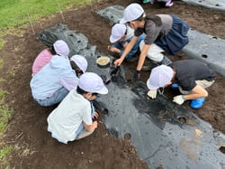 種まき作業する児童