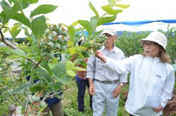 ブルーベリーの品質を確認する生産者ら（長野県南箕輪村で）