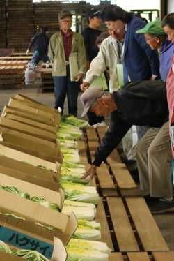 規格を確認する生産者（６月８日、佐久市で）
