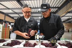 出荷されたブドウの品質を入念にチェックする検査員（１８日、長野県松本市で）
