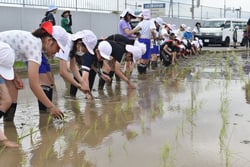 丁寧に苗を植える児童たち