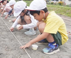 大豆の種まきをする三郷小学校の児童ら（安曇野市三郷）