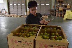 品質をチェックするＪＡ担当者（長野県中野市で）