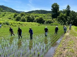 熱い中での作業（飯山市の瑞穂地区にて）