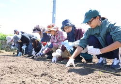 一列に並んで大豆「ナカセンナリ」を手作業で蒔くセミナー参加者