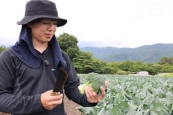 収穫したブロッコリーの出来栄えを確認する立石さん（長野県原村で）