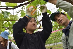 若手農業者の指導を受けて作業する子どもたち（長野県上田市で）