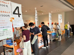 あんずを求めるお客様で賑わう会場