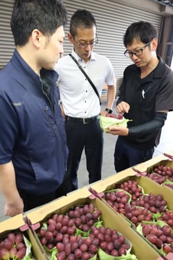 出荷されたクイーンルージュの品質を確認する市場関係者とＪＡ職員（長野県豊丘村で）