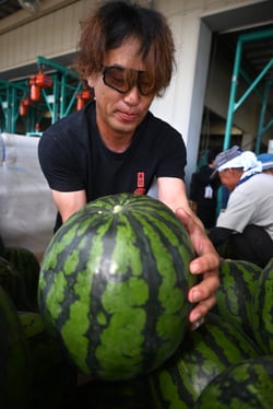 すいかを出荷する生産者（２日、長野県松本市で）