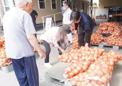 玉ねぎを選ぶ来場者（安曇野市穂高）