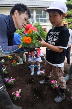 花壇に色とりどりの花苗を植える豊平小児童とＪＡ役職員（長野県茅野市で）