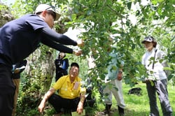 盛次技師（左）から摘果の流れの説明を聞く参加者（長野県茅野市で）