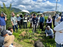 岩月技術員の説明を熱心に聞く生産者（須坂市のほ場にて）