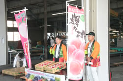モモをピーアールする小林常務（長野県長野市、７月２２日）