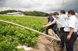 ほ場を視察する市場関係者ら（長野県原村で）