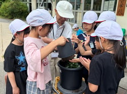 奥山幸茂顧問（中）に教わりながら、ドーム菊の植え替えをする中洲小学校４年生（長野県諏訪市で）