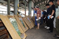 秀品を見て、出荷規格を確認するトルコギキョウの生産者（長野県茅野市で）