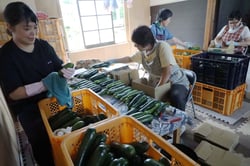 五味さんの作業場で箱詰め作業を行う地元の協力者（長野県茅野市で）