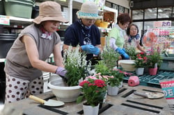 キキョウやペンタスなどの寄せ植えを楽しむ部員（長野県茅野市で）