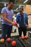 出荷規格を確認する生産者（１２日、長野県松本市で）
