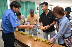 見本のなしを見ながら規格を確認する生産者ら（１３日、長野県松本市で）