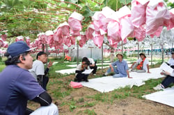 説明を熱心に聞く参加者（長野県中野市で）
