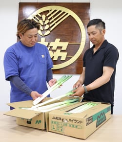 白ネギの出荷規格を確認する生産者ら（長野県山形村にて）