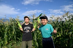 収穫したトウモロコシを手に取り喜ぶ子どもたち