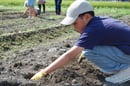 定植作業をする児童（安曇野市堀金）