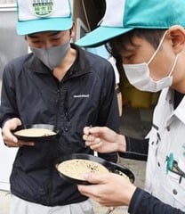 被害粒がないか拾い取る農産物検査員