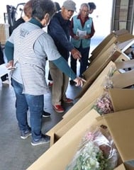 見本の花で出荷規格を確認する生産者