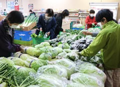 多くの地元野菜が並んだ秋の感謝祭