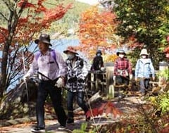 紅葉の中を歩く会員