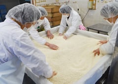 4人で協力して米麹をほぐす組合員ら