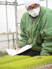 センターで育てた苗を確認する参加者