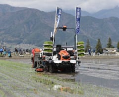 管内トップを切り行われた田植え