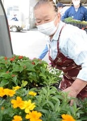 車に花苗を積み込む小沢会長