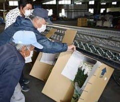 出荷規格を確認する生産者ら