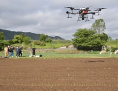 ドローンでネギほ場に除草剤を散布