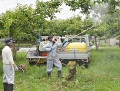 社員に見守られながら防除作業する担い手研修生