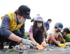 子どもたちと一緒にサツマイモ苗を植えるJA職員（左）