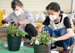 寄せ植えを楽しむ女性部員