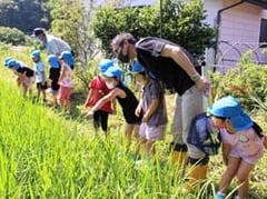 虫を見つけみんなで観察する園児たち