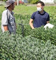 生産者と対話しながらほ場巡回をすすめる井上担当（右）