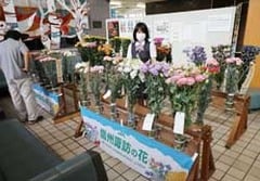 色とりどりの管内産花きが並んだ展示会（諏訪市役所）