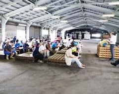 ハクサイの生産販売情勢を聞く参加者