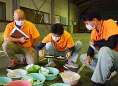 登熟調査を行う職員