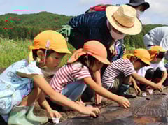 種まきを楽しむ園児